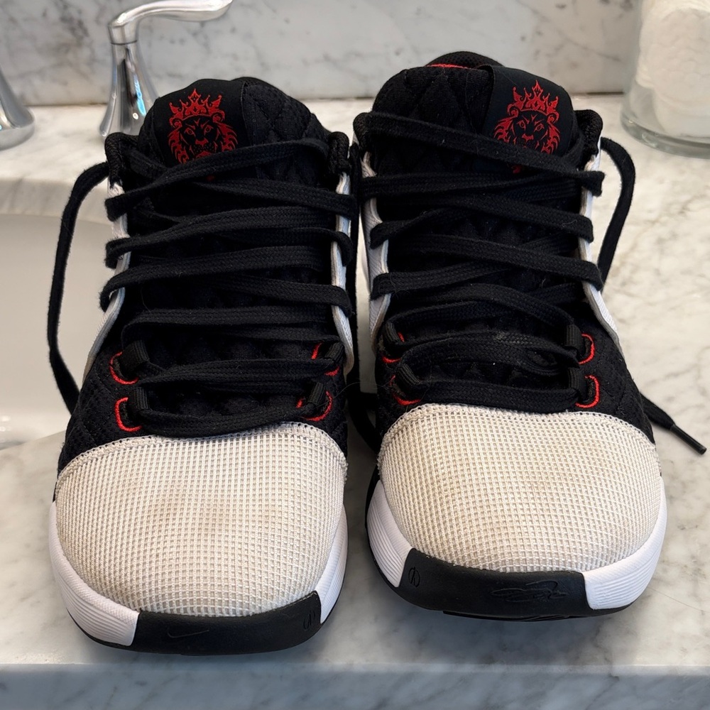 Nike Basketball LBJ Witness VIII Black and White basketball shoes Red Accents